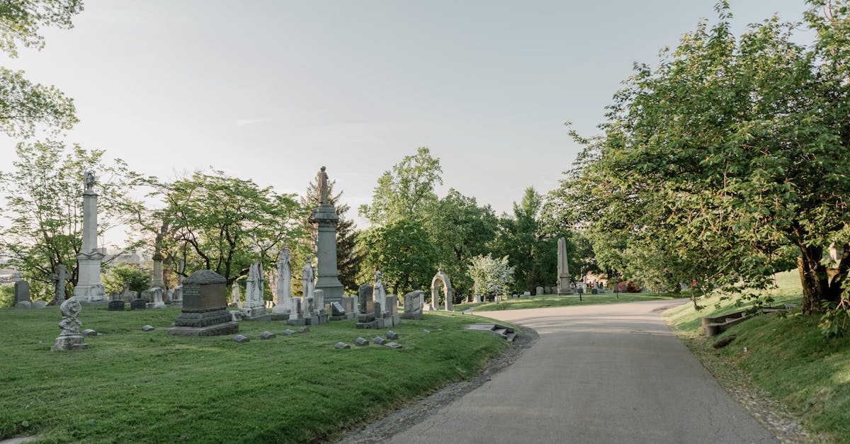 découvrez les monuments historiques emblématiques qui racontent l'histoire et la culture de notre passé. explorez des sites classés, des architectures remarquables et des trésors cachés qui témoignent de l'héritage architectural à travers les âges.