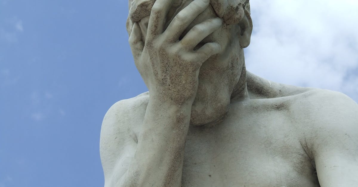 découvrez l'art de la sculpture, une forme d'expression créative où la matière prend vie. explorez les différentes techniques, styles et artistes qui façonnent des œuvres uniques, alliant créativité et savoir-faire.
