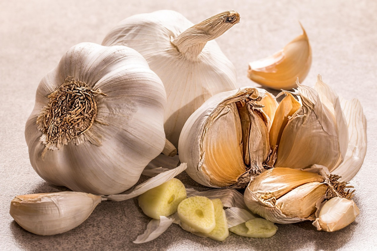 partez pour une aventure culinaire inoubliable où les saveurs du monde s'entremêlent. découvrez des recettes innovantes, des techniques de cuisson exquises et des ingrédients uniques qui éveilleront vos papilles et enrichiront votre passion pour la gastronomie.