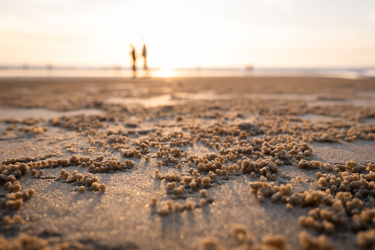 évadez-vous le temps d'un week-end! découvrez des destinations relaxantes et des activités passionnantes pour un court séjour inoubliable. profitez de paysages enchanteurs, de délicieux repas et de moments de détente.