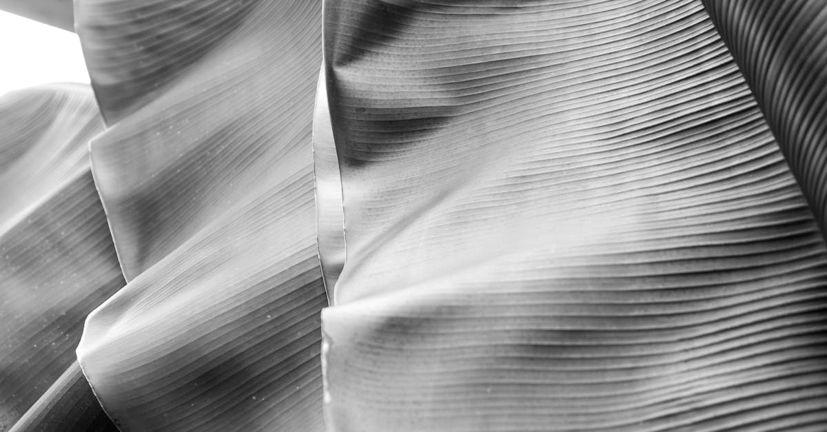 découvrez notre vaste sélection de textiles de qualité, allant des tissus élégants aux matériaux durables, parfaits pour tous vos projets de couture et de décoration intérieure. explorez les dernières tendances et laissez libre cours à votre créativité avec nos textiles variés.