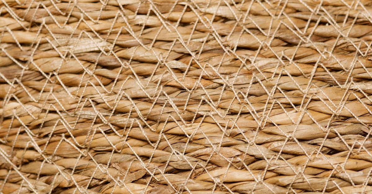 découvrez l'art de la vannerie : des créations uniques en osier, ronce et autres matériaux naturels. apprenez les techniques ancestrales, trouvez des inspirations pour vos projets et laissez libre cours à votre créativité avec la basketry.