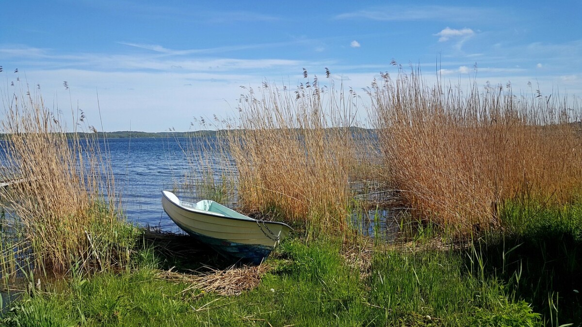 découvrez l'archipel préservé, un ensemble d'îles intactes offrant une biodiversité unique et des paysages naturels époustouflants, idéaux pour l'exploration et l'évasion.