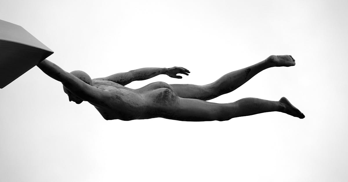 découvrez l'art fascinant de la sculpture, où la créativité prend forme à travers des matériaux variés. plongez dans un univers tridimensionnel qui allie innovation et tradition, et explorez des œuvres qui racontent des histoires à travers la matière.