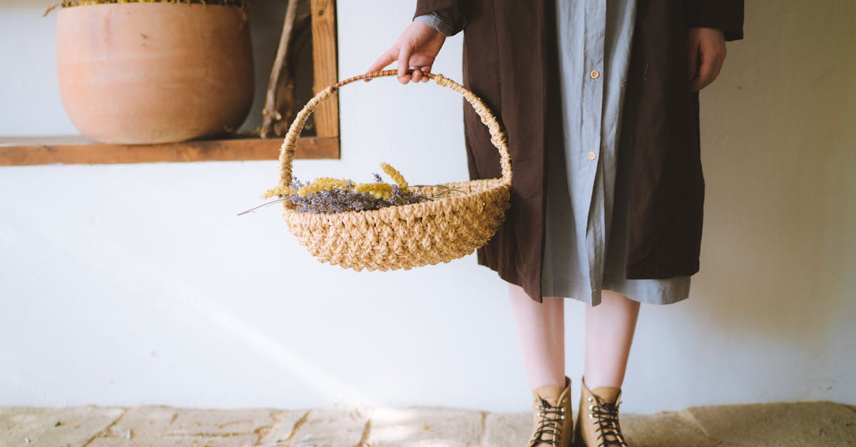 découvrez l'art de la vannerie, une technique ancestrale de tissage de matériaux naturels pour créer des objets pratiques et décoratifs. apprenez les différentes techniques, types de paniers et projets diy pour éveiller votre créativité et embellir votre intérieur.