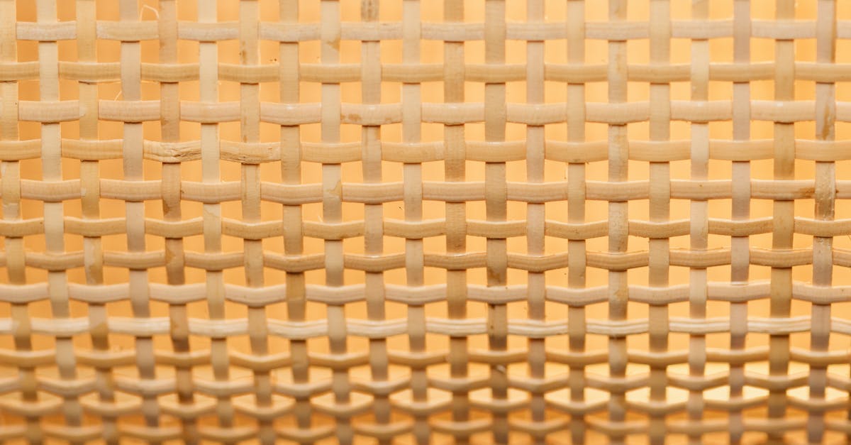 découvrez l'art de la vannerie avec nos techniques, conseils et inspirations pour créer des objets uniques en osier et autres matériaux naturels. idéal pour les passionnés de diy et d'artisanat.