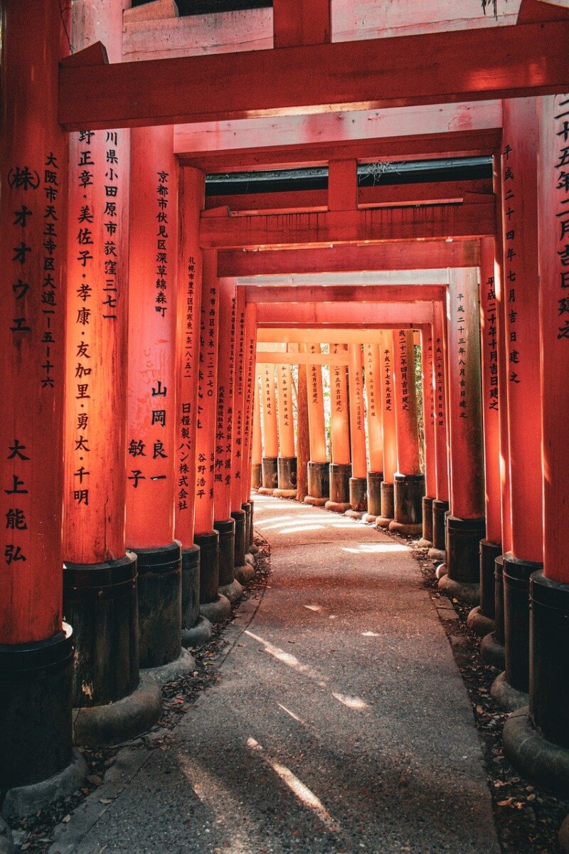 découvrez notre guide de voyage au japon pour planifier votre aventure parfaite : conseils, itinéraires, culture et sites incontournables.