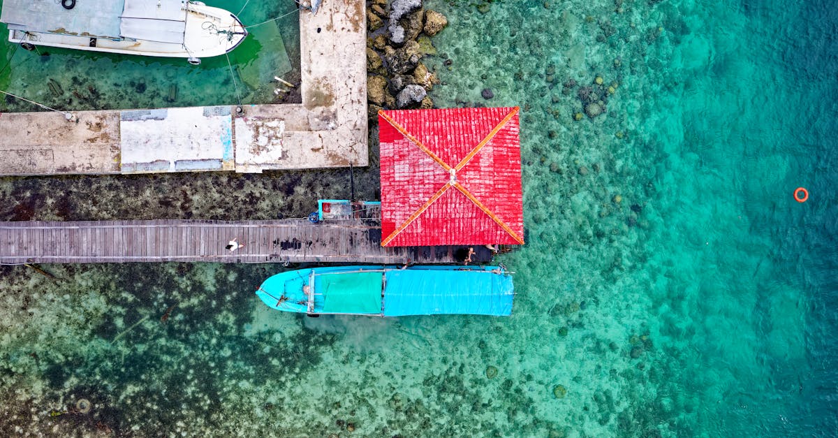 découvrez le tourisme durable, une approche respectueuse de l'environnement qui préserve les ressources naturelles tout en favorisant les cultures locales. explorez des destinations éthiques, engagez-vous envers des pratiques responsables et contribuez à un avenir plus vert pour notre planète.
