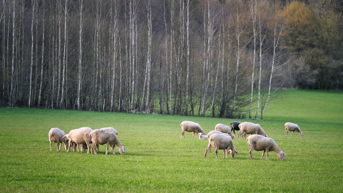 découvrez l'histoire fascinante du 1er avril, une journée dédiée aux blagues et aux canulars ! apprenez des astuces pour piéger vos amis et explorez les traditions amusantes qui font de cette journée un moment inoubliable.