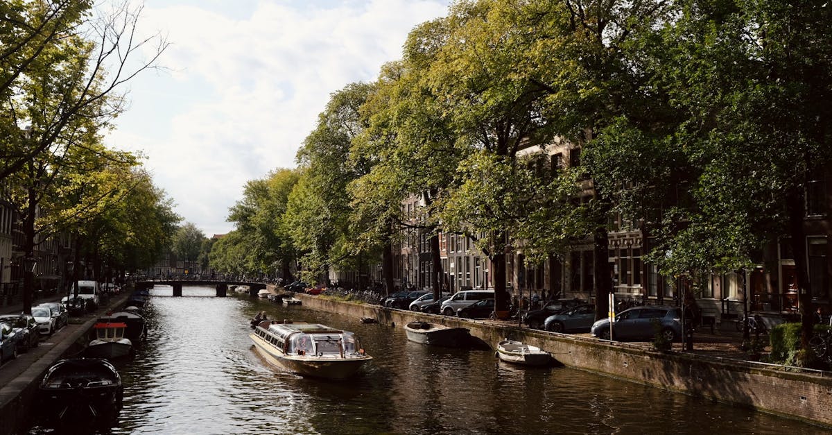 découvrez des croisières culturelles uniques qui allient exploration des destinations emblématiques et immersion dans la richesse des traditions locales. embarquez pour un voyage inoubliable alliant détente, découverte et rencontres authentiques.