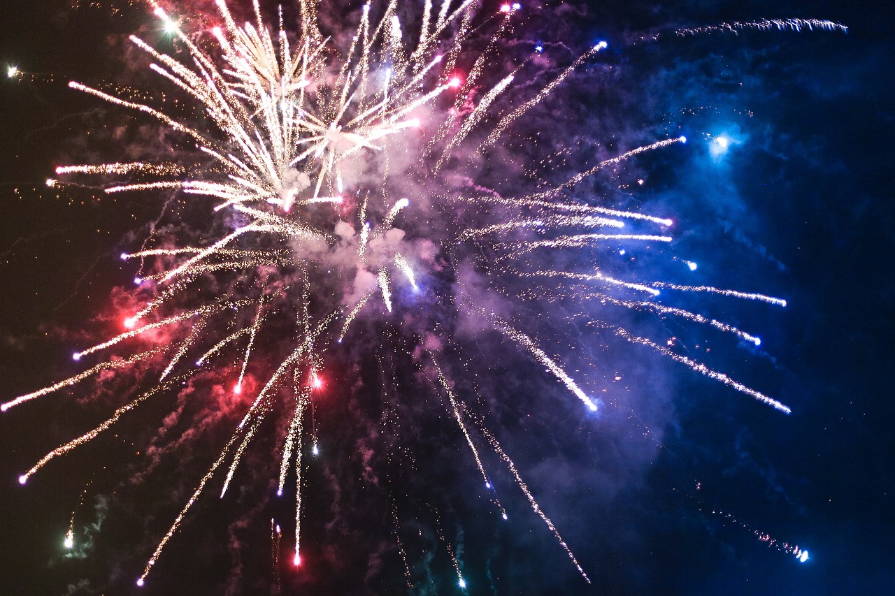Bonne année lunaire à tous!