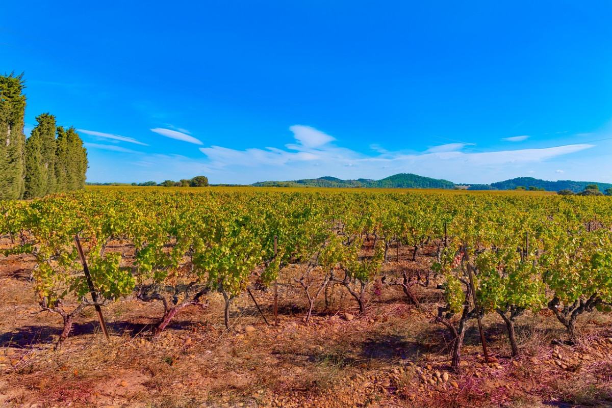 À la découverte de Nîmes avec Myriam et Pierre Cabon, les blogueurs aventuriers