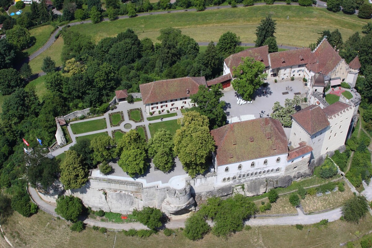 Restauration patrimoine : techniques innovantes pour préserver notre héritage architectural