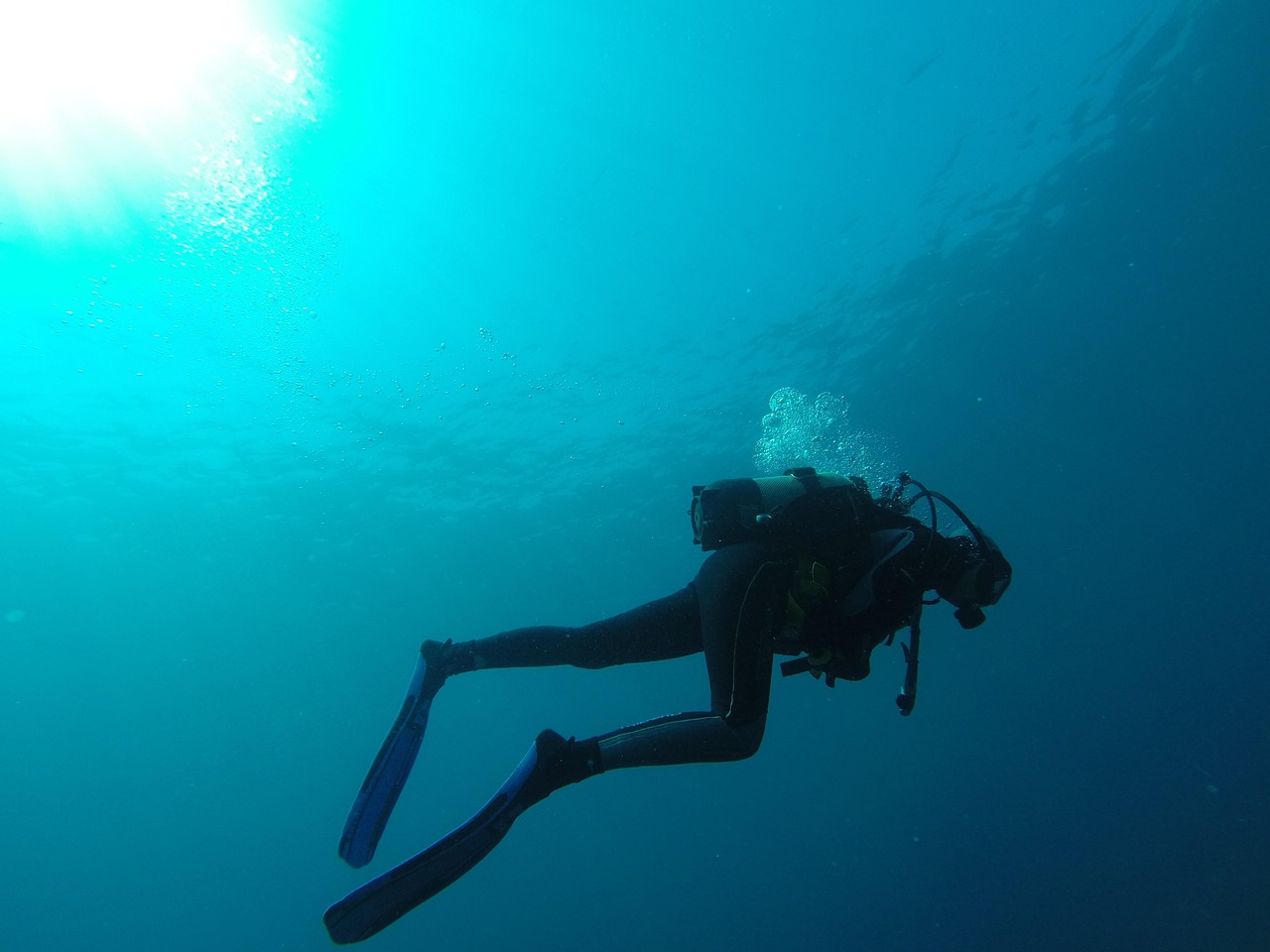 Les meilleures destinations de plongée sous-marine