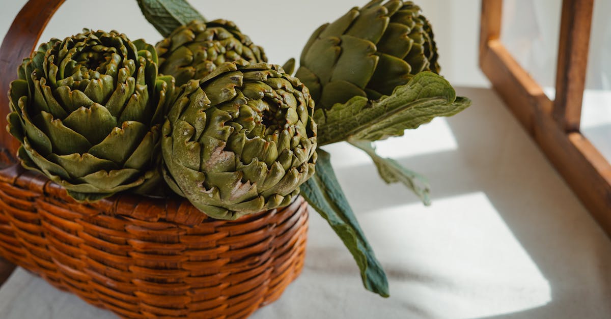 Vannerie : Découvrez l’art traditionnel de tissage en osier